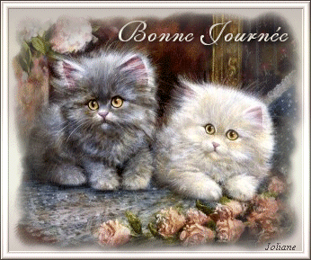 merci a Quentin59330.skyblog.com pour sa sa joli creation