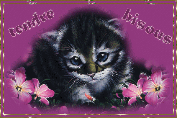 merci ,Bellisima pour ce somptueux cadeau tres gros bisous pour te remercier