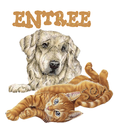 merci a gifs_offerts pour ce bouton entr�e 