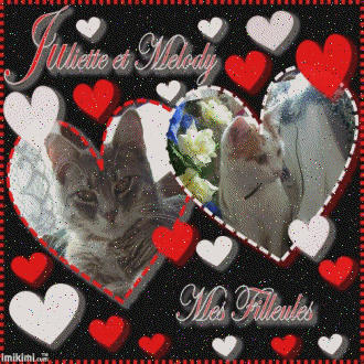 merci a notre parrain spanou dit Jos� pour ses magnifiques creations