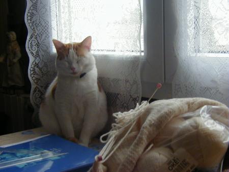 ho!la!la! moi je suis fatiguer 