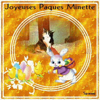 merci a notre gentil Jos� pour ses magnifiques cadeaux