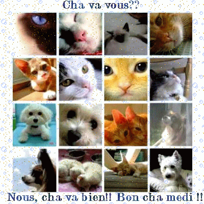 merci a notre Jos� pour ses superbe cartes