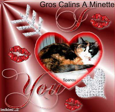 merci a notre ami Jos� pour cette sublime creationpour notre vieille et douce minette