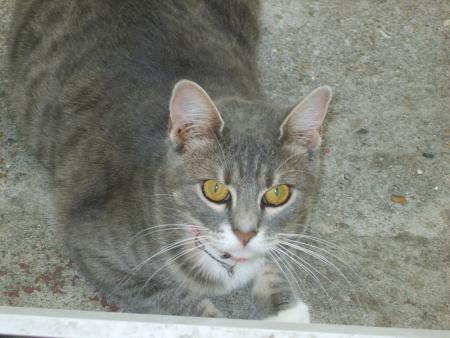 Notre belle Juliette (video de nos deux chipies)