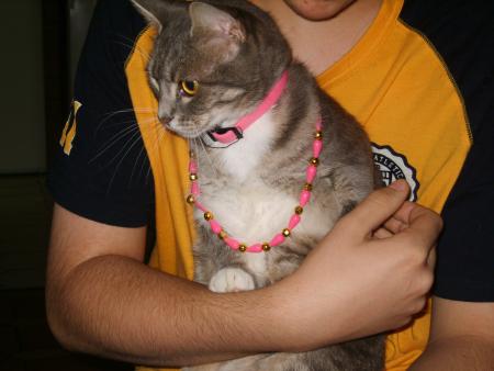 Notre belle Juliette (video de notre  chipie)