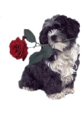 n'est-il pas adorable