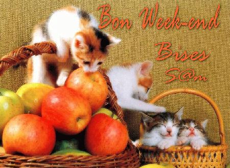 merci samira c trop mignon  de nolan et maman