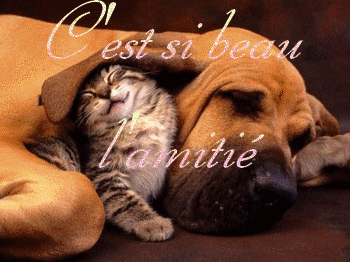 merci beaucoup c trop adorable