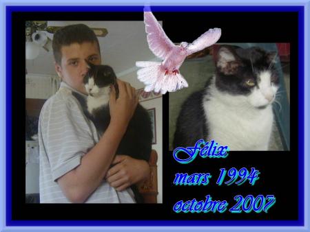 au revoir notre F�lix volle vers d'autre cieux ou tu auras toue ta liberter et ton independance