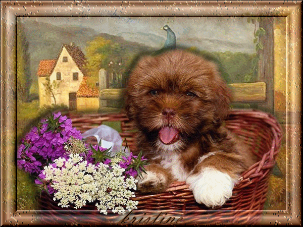 merci kristine.vip-blog.com il est super adorable ce tableau  nous adorons 