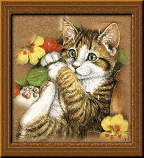 une magnifique creation que j'ai trouv� sur le net si elle appartient a quelqu'un qu'on me le dise