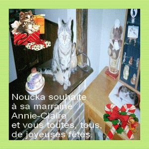 merci a felinementvotre (Patricia) pour ce cadeau destiner a ma jolie filleule Noucka 