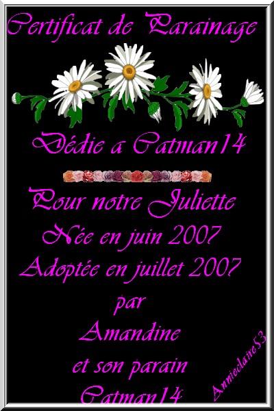 ce certifat de parrainage  pour catman14.skyblog.com