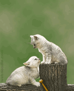 et hopl� ,ch� quand que je touche le jackpot ........