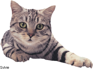 aussi speed que notre juliette mdr