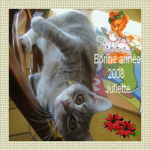 cadeau re�u de notre ami Patricia  